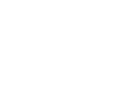 Loyalty Construction